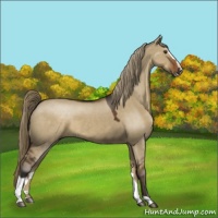 Horse Color:Liver Red Dun Sabino