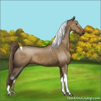 Horse Color:Liver Red Dun Tobiano Brindle