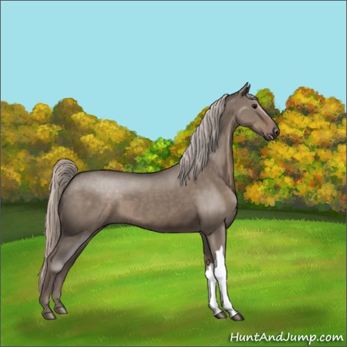 Horse Color:Silver Grullo 