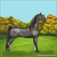 Horse Color:Grullo Mushroom Varnish Brindle 