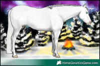 Horse Color:Gold Cream Champagne Ice Pearl Appaloosa 