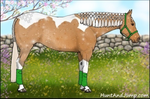 Horse Color:Silver Bay Sabino Tobiano Rabicano