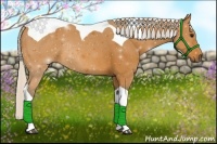 Horse Color:Silver Bay Sabino Tobiano Rabicano