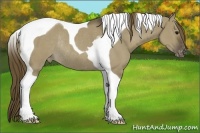 Horse Color:Smoky Grullo Tobiano Varnish Rabicano 