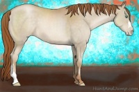Horse Color:Chocolate Smoky Black Pearl 