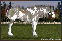 Horse Color:White Spotted Silver Black Sabino 