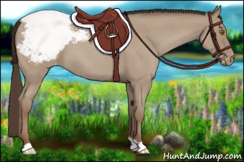 Horse Color:Classic Champagne Roan Snowcap 