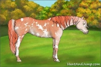 Horse Color:Watercolor White Spotted Liver Chestnut 
