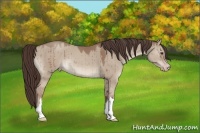 Horse Color:Classic Champagne Dun Brindle