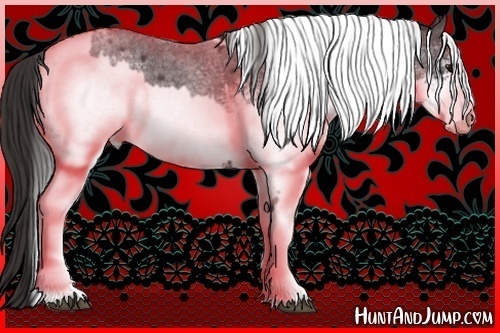 Horse Color:White Spotted Blue Roan Rabicano  and White Spotted Bay Roan Rabicano 