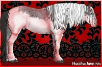 Horse Color:White Spotted Blue Roan Rabicano  and White Spotted Bay Roan Rabicano 