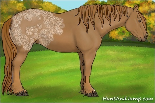 Horse Color:Chestnut Ice 