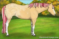 Horse Color:Painted White Spotted Palomino Ice 
