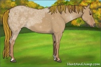 Horse Color:Painted Red Dun Ice
