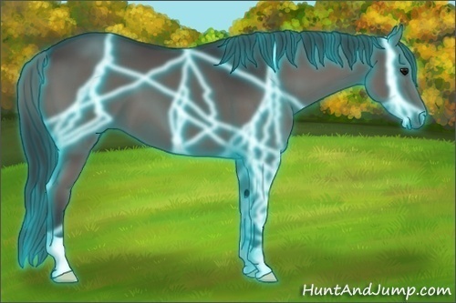 Horse Color:Thunderstruck Black 