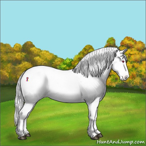 Horse Color:White Spotted Liver Red Dun Chinchilla Onyx Blanket Brindle 