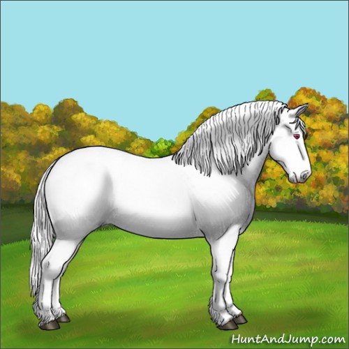 Horse Color:White Spotted Liver Red Onyx Chinchilla 