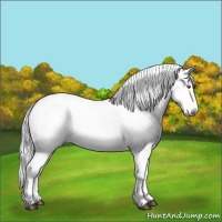 Horse Color:White Spotted Liver Red Onyx Chinchilla 