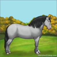 Horse Color:Classic Champagne Chinchilla Dun 
