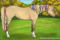 Horse Color:Painted Silver Buckskin Dun 
