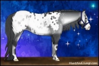 Horse Color:Blue Onyx Chinchilla Frame Appaloosa Rabicano