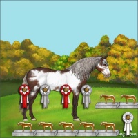 Horse Color:Silver Brown Frame 