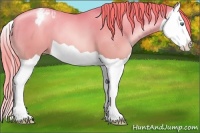 Horse Color:Smoky Black Pearl Splash Varnish