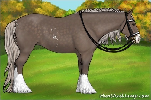 Horse Color:Silver Black Sabino 