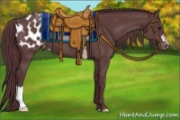 Horse Color:Chocolate Black Appaloosa 