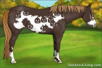 Horse Color:Liver Chestnut Frame 