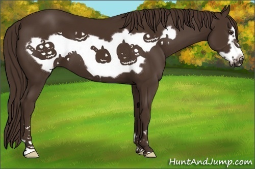 Horse Color:Liver Chestnut Frame 