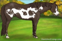 Horse Color:Liver Chestnut Frame