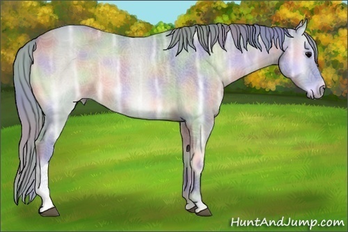 Horse Color:Nacre Watercolor Brown Ice Onyx 