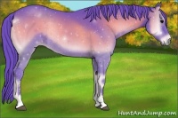 Horse Color:Watercolor Blue Onyx Sabino Rabicano 