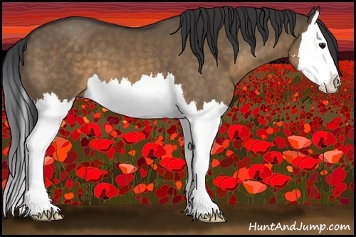 Horse Color:Brown Dun Sabino Splash 