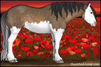 Horse Color:Brown Dun Sabino Splash 