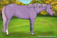 Horse Color:Watercolor Silver Black Sabino 