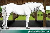 Horse Color:Chocolate Silver Grullo Blanket Rabicano