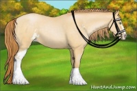Horse Color:Buckskin Pearl Sabino 