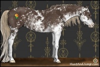 Horse Color:Liver Chestnut Sabino 