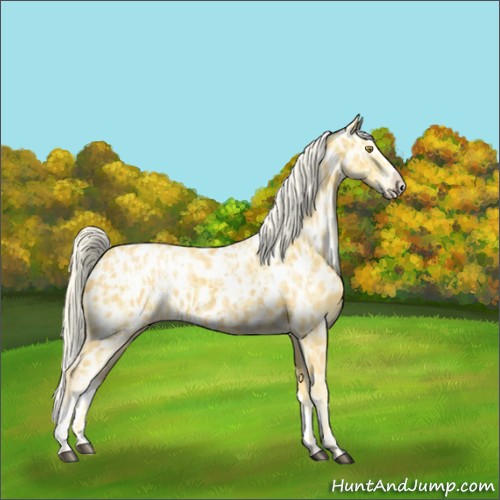 Horse Color:Palomino Near Leopard and Palomino Splash Near Leopard