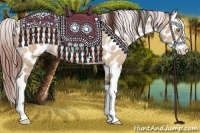 Horse Color:Amber Champagne Dun Appaloosa  and Amber Champagne Dun Splash Appaloosa 