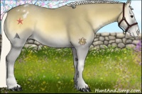 Horse Color:Silver Smoky Blue Onyx Appaloosa 