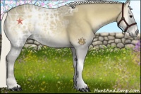 Horse Color:Silver Smoky Blue Onyx Ice 
