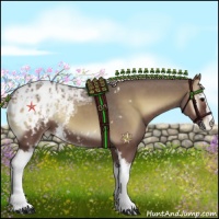 Horse Color:White Spotted Silver Blue Onyx Ice Appaloosa 