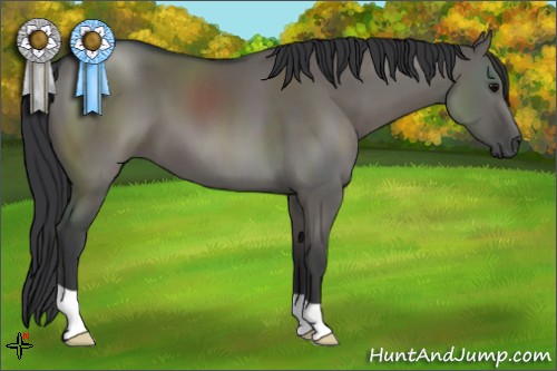 Horse Color:Grullo 