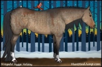 Horse Color:Brown Dun 