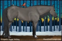 Horse Color:Grullo 