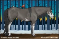 Horse Color:Grullo Sabino