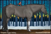 Horse Color:Grullo 